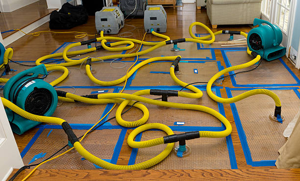 Professional Water Extraction technician working in Wapakoneta, OH