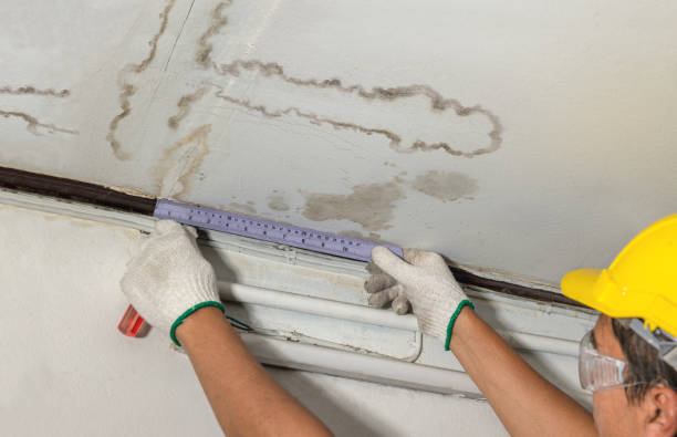 Affordable Water Damage Repair solutions in Wapakoneta, OH